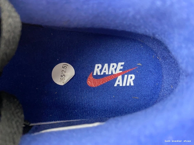 Reps LUCY Jordan 4 Air FV5029-003 Air Rare 0718